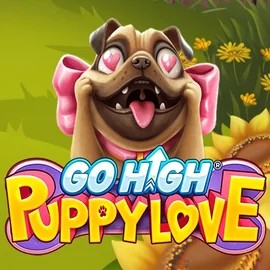 Play Go High Puppy Love slot by RubyPlay on casinoostake.com