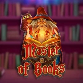 Play the Master of Books slot by Swintt on Stake Casino