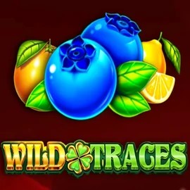 Wild Traces game by Amusnet Interactive – logo hosted on Stake Casino